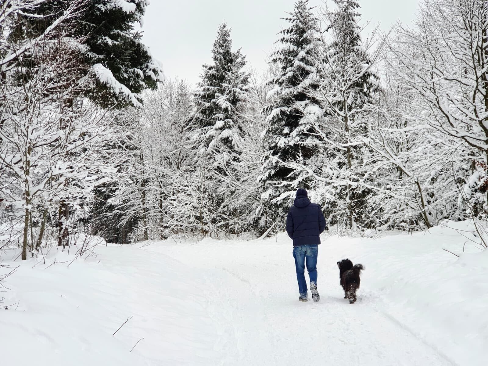 Henkilö ja koira kävelevät lumipeitteisellä polulla metsässä.