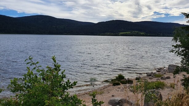 Un lago con una costa rocosa, rodeado de colinas y árboles.