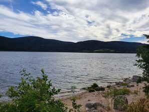 A lake with a rocky shoreline, surrounded by hills and trees. - Wise Wolf – Standard Double Room at House of Happiness with Sunny Balcony (Schluchsee)