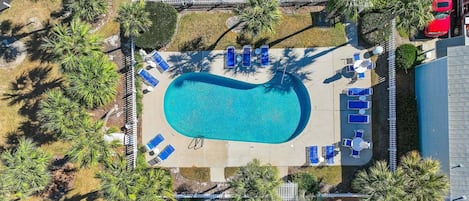 An aerial view of a swimming pool area with lounge chairs and palm trees.