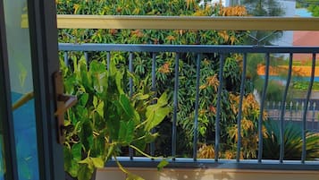 Comfort Quadruple Room, Balcony, City View | View from room