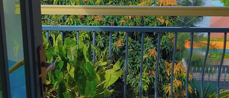 Comfort Quadruple Room, Balcony, City View | View from room