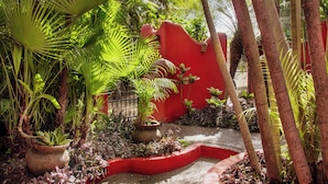 Un jardín con diversas plantas y un muro rojo.