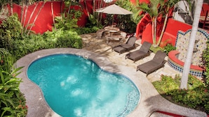 Una piscina con borde de piedra, rodeada de exuberante vegetación y paredes rojas.