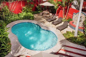 Pool - Casa Roja Lower · Pool & Patio · Local Sayulita (Sayulita)