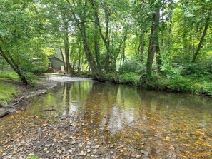 Property grounds - Cub Camp - Creekfront Cabin w/ Hot Tub, Fire Pit & Game Barn (Cherry Log)