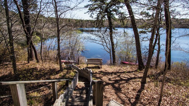 Una escalera de madera que lleva a un banco junto a un lago rodeado de árboles.