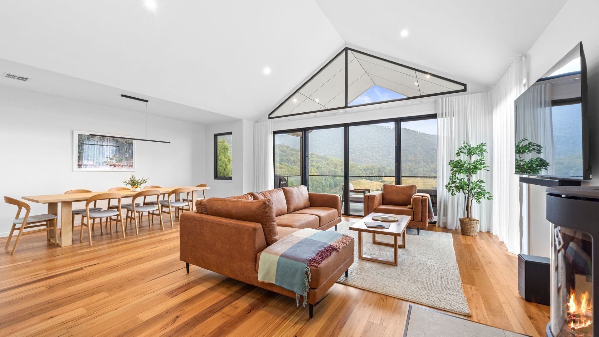 Smart TV, fireplace, books