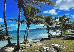 Property grounds - Ocean View Beach access with pool 2 bed 2 bath condo close to Christiansted (Christiansted)