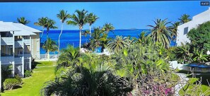 Property grounds - Ocean View Beach access with pool 2 bed 2 bath condo close to Christiansted (Christiansted)