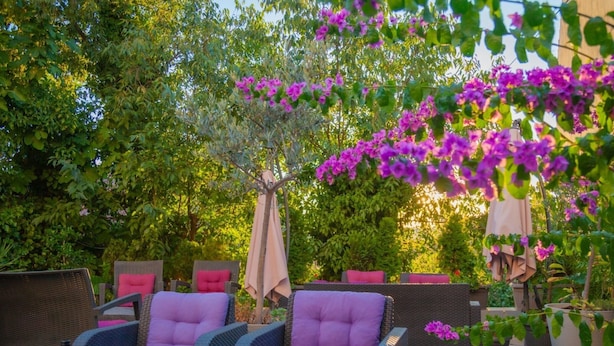 A patio area with wicker furniture and a pergola covered with purple flowers. - Pula Garden Apartments with Shared Pool - Double Room (Pula)