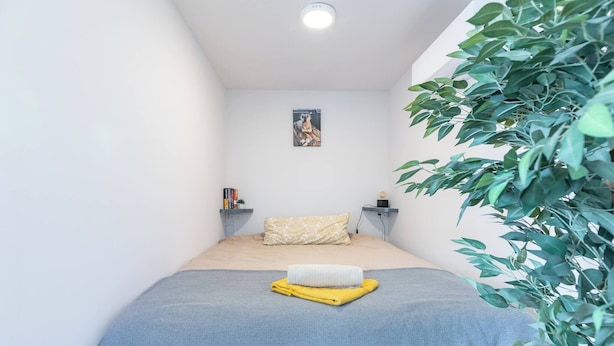 Een kleine, verzorgde slaapkamer met een bed, een nachtkastje met boeken, een aan de muur hangend schilderij en een potplant.