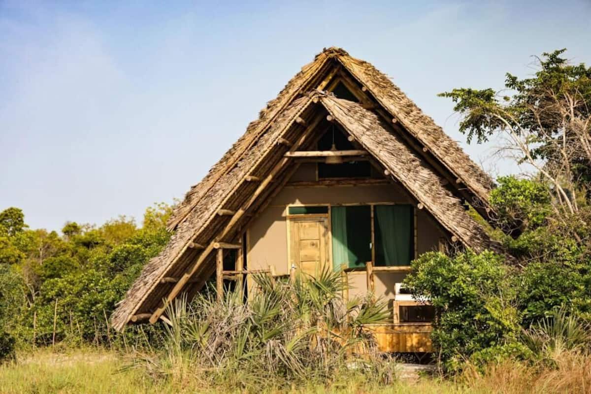 A thatched-roof hut with a wooden door and windows, surrounded by natural vegetation.