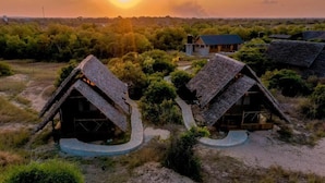 A rural setting with thatched-roof cottages surrounded by greenery.