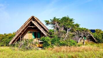 Sholwe | Exterior