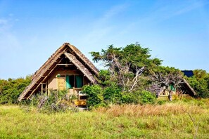 Sholwe | Exterior - Saadani Beach Camp (Saadani)