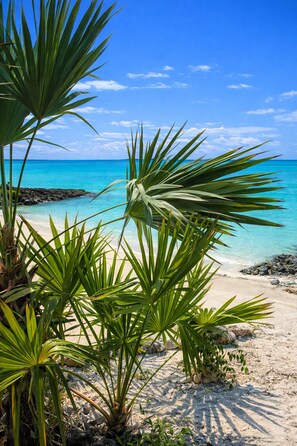 Chaises longues, serviettes de plage