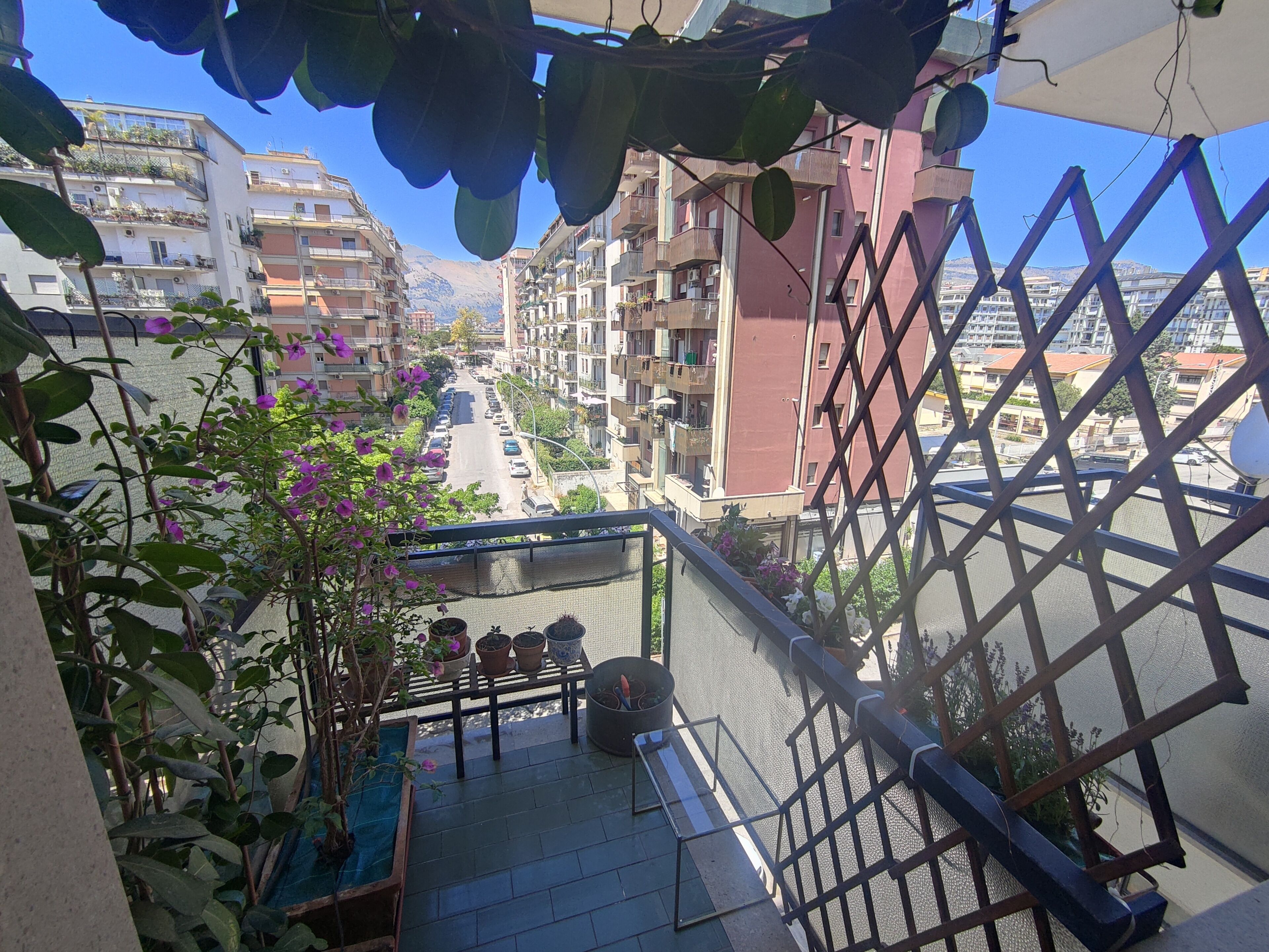 Een balkon met plantenbakken, een straatbeeld met auto's en gebouwen op de achtergrond.