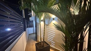 Kapea ulkokäytävä, jossa on ruukussa oleva kasvi ja seinälle asennetut valaisimet.