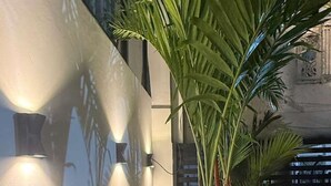 Ein moderner Innenraum mit einer großen Kübelpalme, einer Wandleuchte und einem Fenster mit Jalousien.
