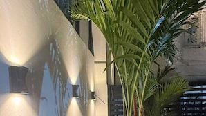 Un intérieur moderne agrémenté d’un grand palmier en pot, d’un luminaire fixé au mur et d’une fenêtre avec des stores.