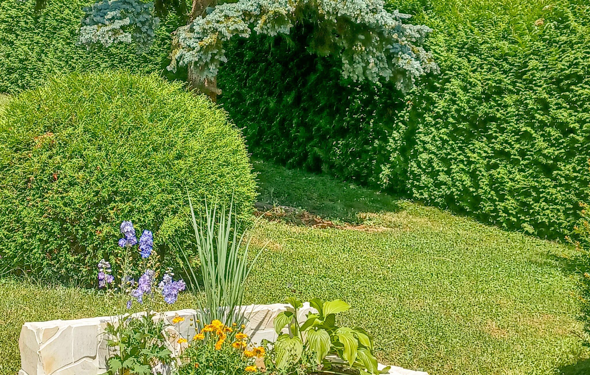 A well-maintained garden with various plants and flowers, including purple and yellow blooms, and neatly trimmed hedges.