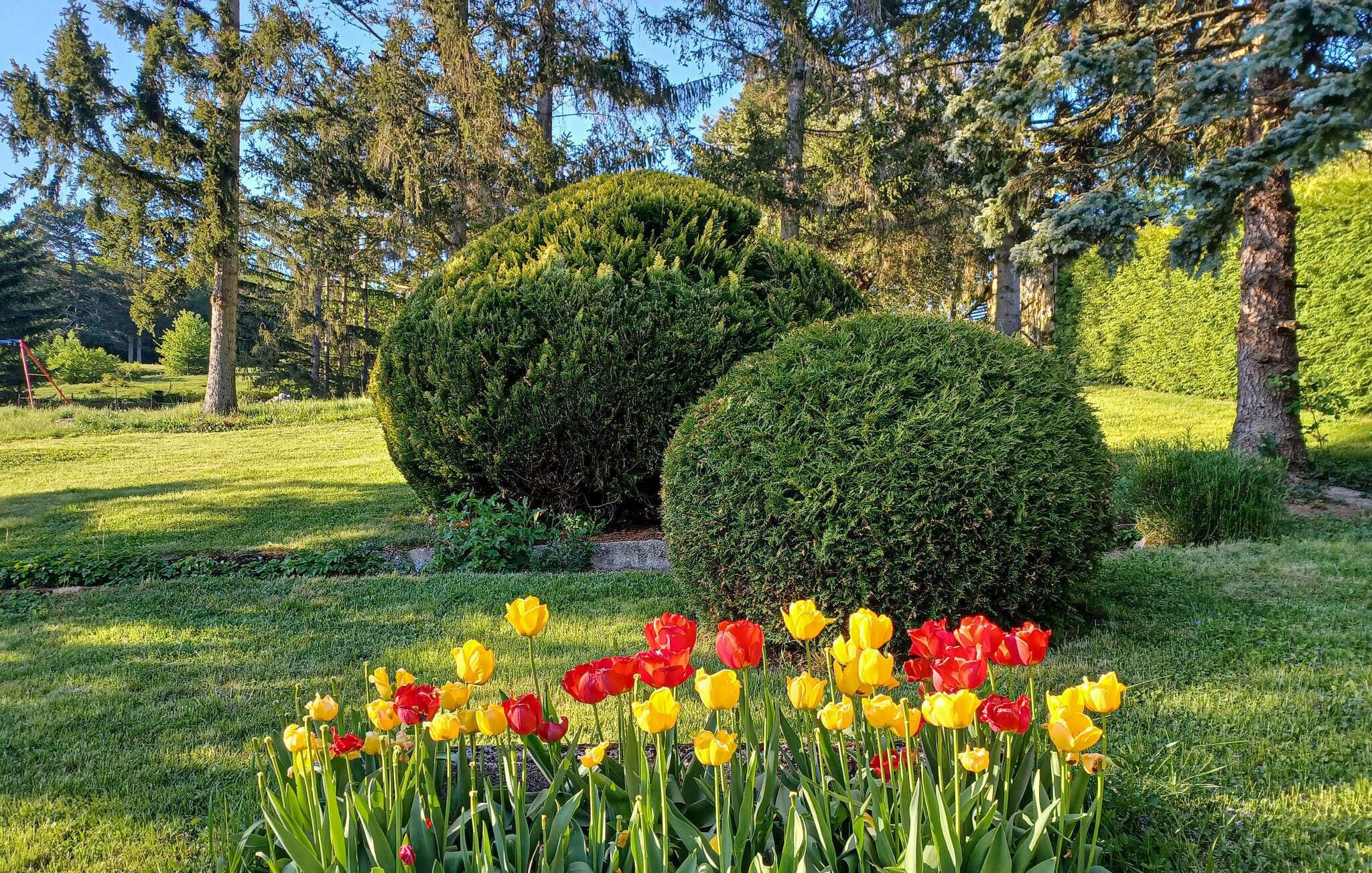 Overnattingsstedets uteområder