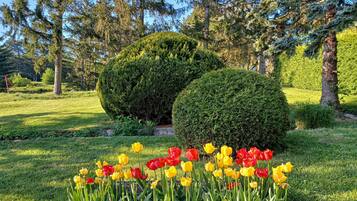 Terrein van de accommodatie