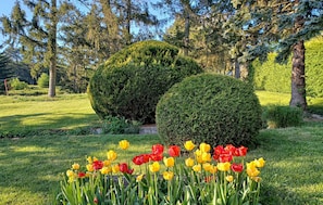 Property grounds - Ferienwohnung mit Terrasse (Neuhaus an der Triestin)