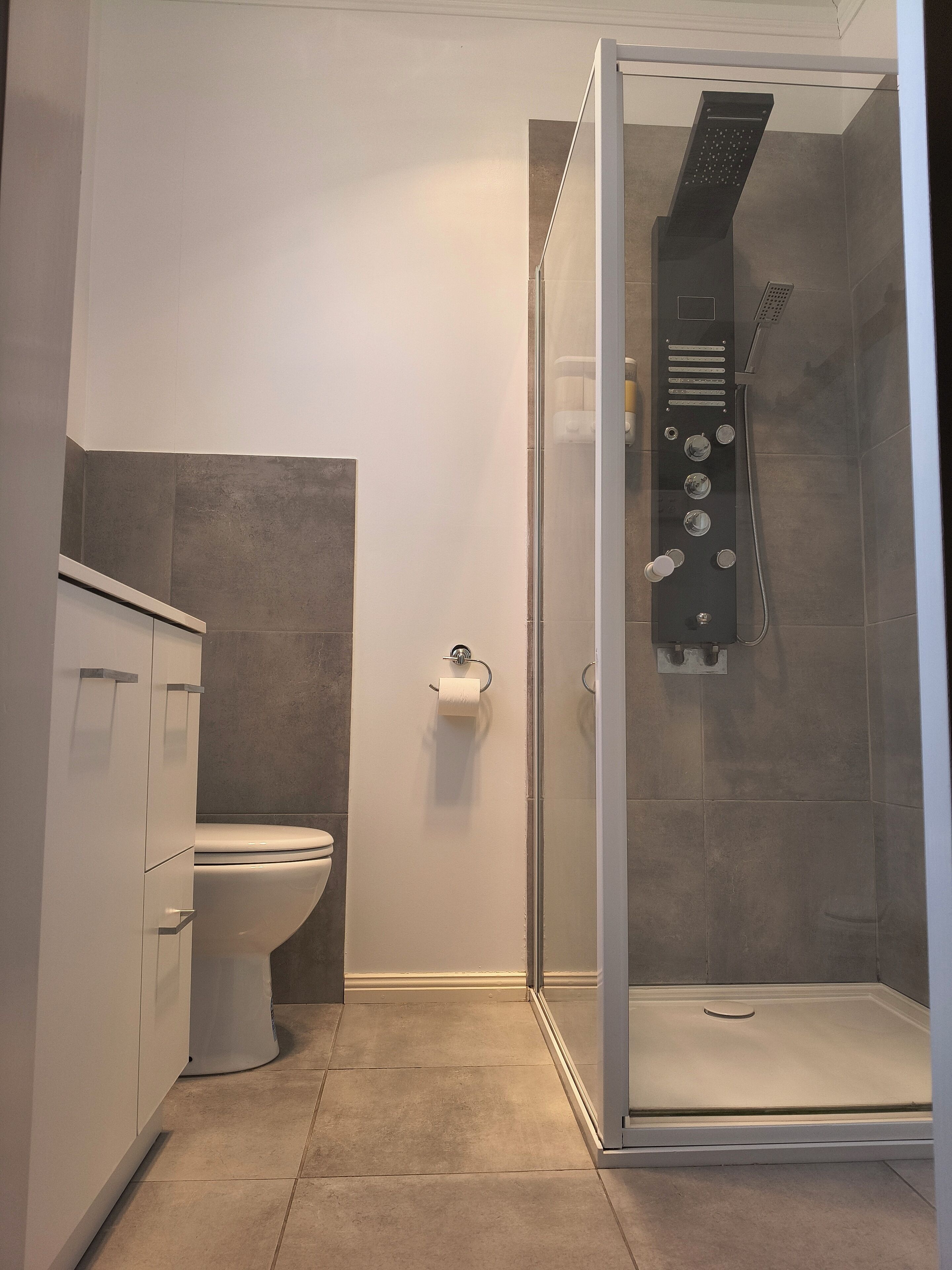 Shower, hair dryer, bidet, towels