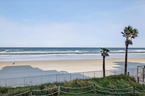 Ein Strand mit einer Umzäunung, Palmen und dem Meer.
