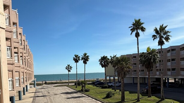 Hotel frente al mar con estacionamiento, palmeras y vista despejada al océano.