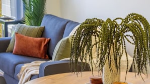 Una sala de estar con un sofá azul, una mesa redonda de madera y una planta colgante.