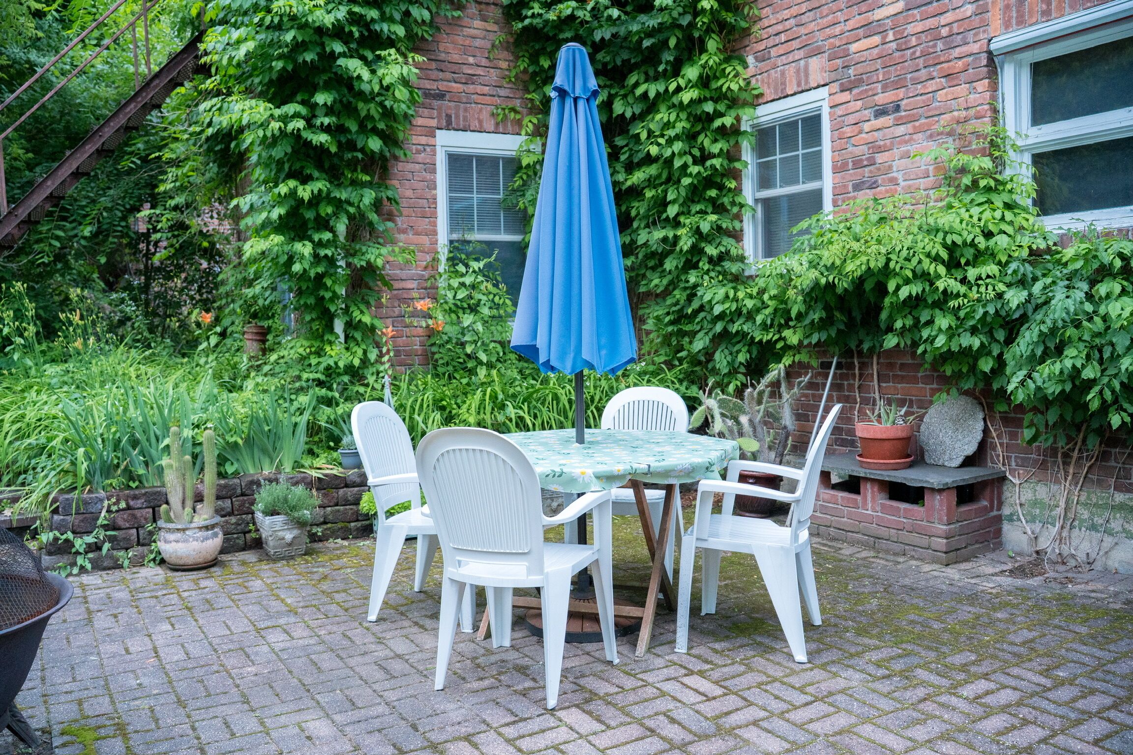 Un bâtiment en briques recouvert de lierre, une table ronde avec des chaises et un parasol bleu.