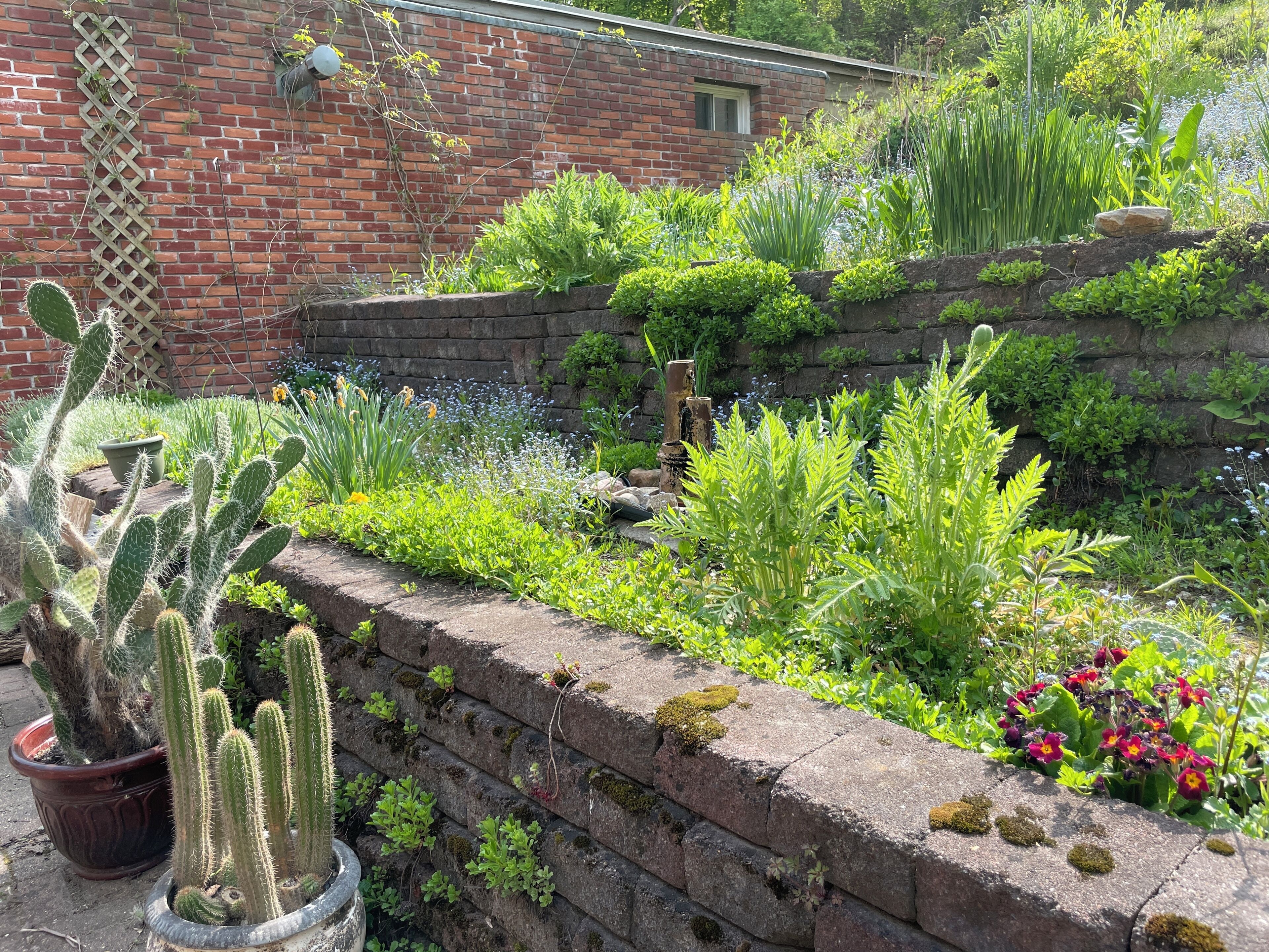 Terrain de l’hébergement 