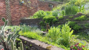 Ein Garten mit verschiedenen Pflanzen, einer Ziegelmauer und Kakteen in Töpfen.