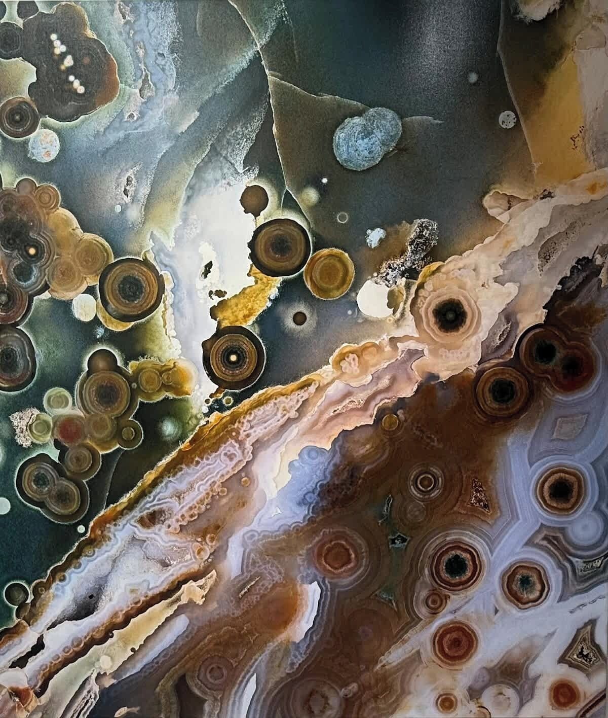 A close-up of a textured surface with concentric circular patterns and irregular shapes.