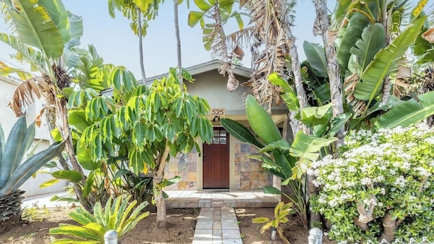 Un jardín tropical con un sendero de piedra que conduce a una puerta de madera, rodeado de diversas plantas tropicales y un pequeño arbusto de flores blancas.