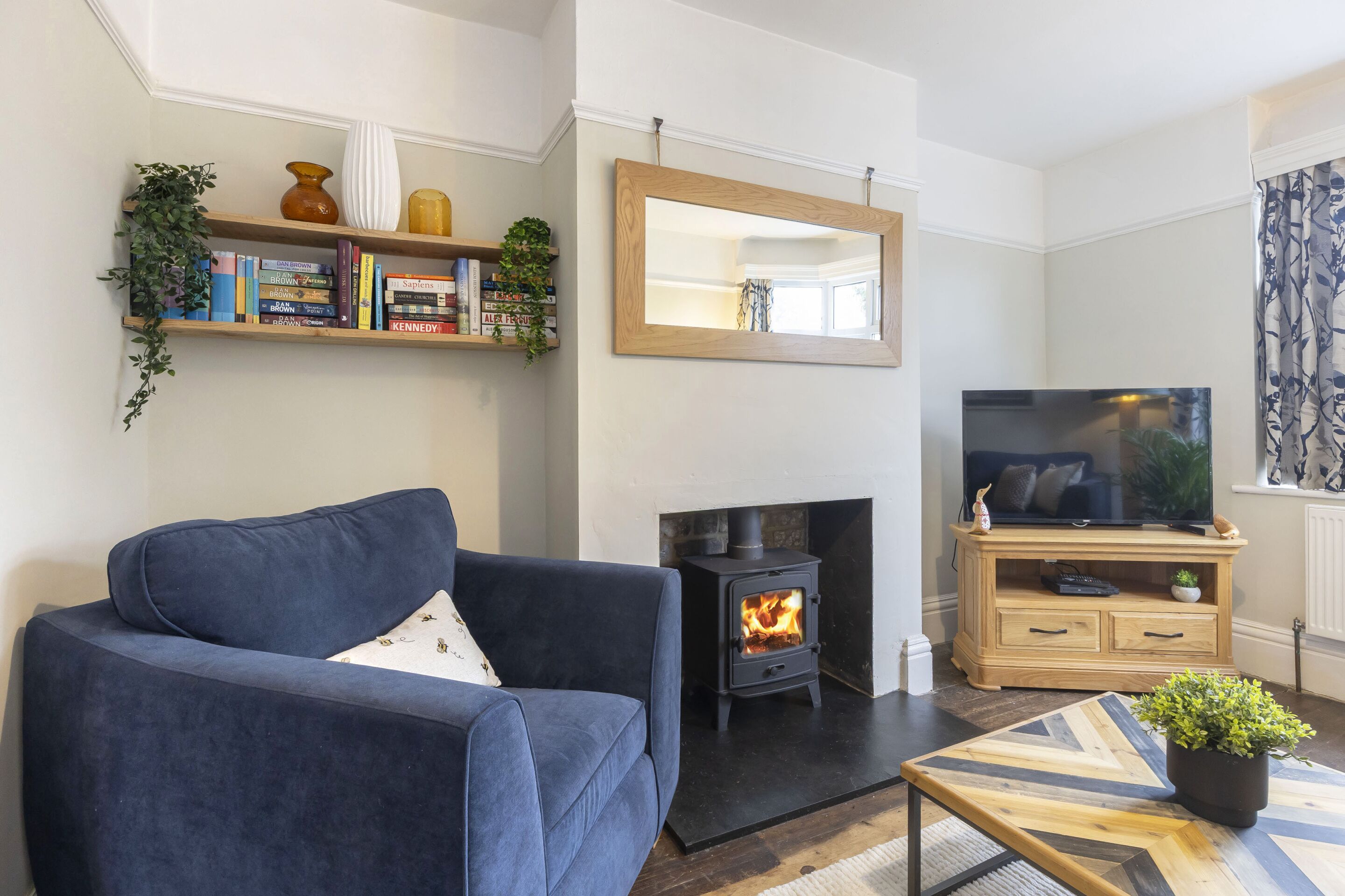 TV, fireplace