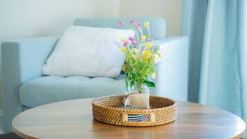 Smart TV, fireplace, books