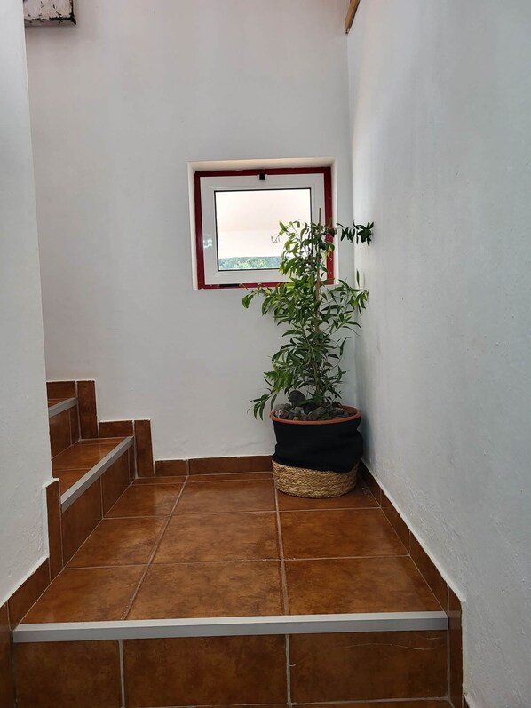 A narrow hallway with a potted plant, a window with a red frame, and a tiled floor.