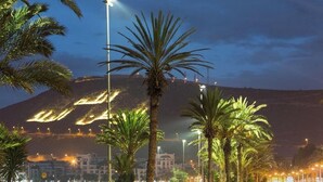 Une vue nocturne d’une ville côtière, avec des palmiers, des lampadaires et une montagne en arrière-plan.