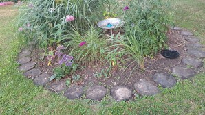Un jardín con diversas plantas y una fuente para pájaros de metal.