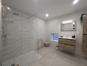 Shower, hair dryer