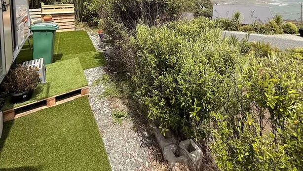 A coastal view with a grassy area, a green container, and a white structure. - Goat-Island Beach Front Get-Away! (Leigh)