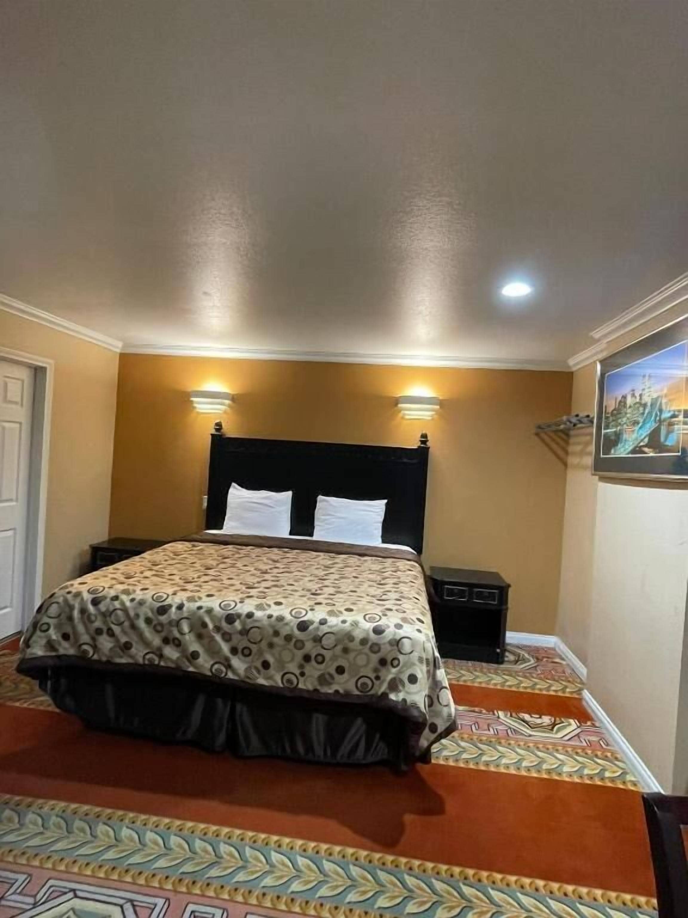 Estudio | Wifi gratis 