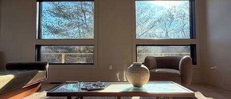 Televisión, chimenea, libros y biblioteca musical