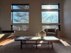 Fernseher, Kamin, Bücher, Musikbibliothek