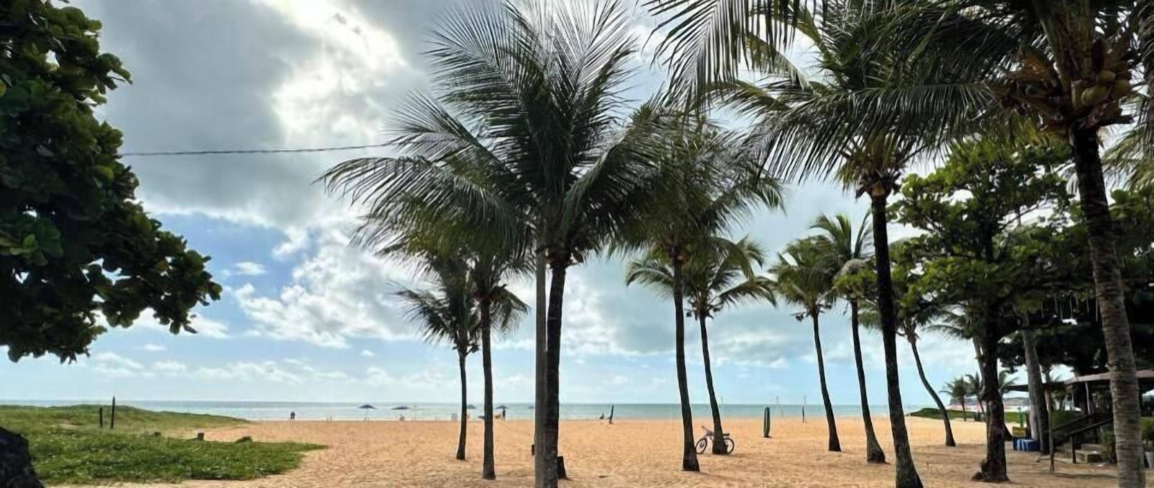 Perto da praia, areia branca, guarda-sóis, prática de vôlei de praia 