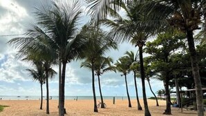 A beach with palm trees and a clear sky. - Flat 127-GF na Praia de Cabo Branco (João Pessoa)